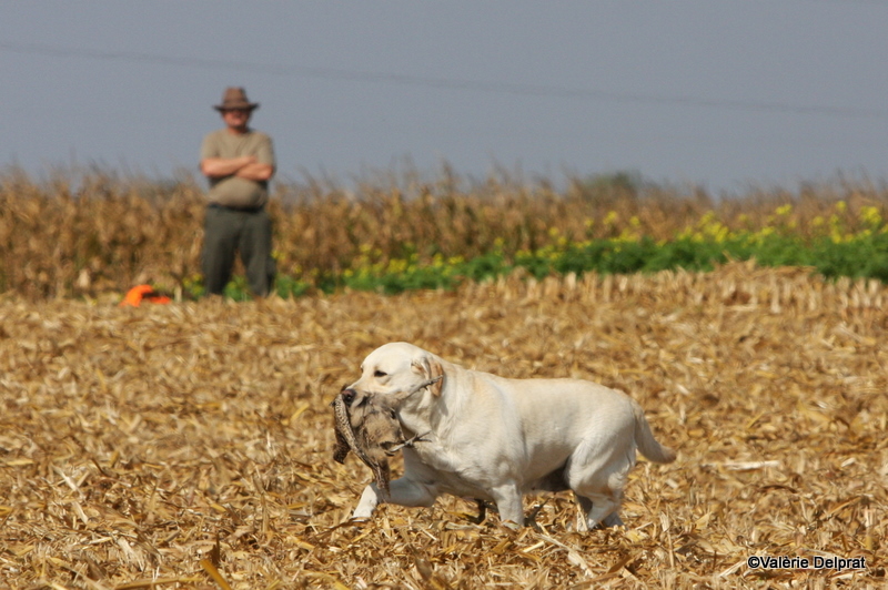 Field Erstein 09 (72).JPG